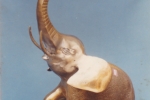 brass-photo_0021