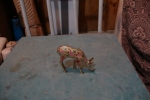 dsc00303